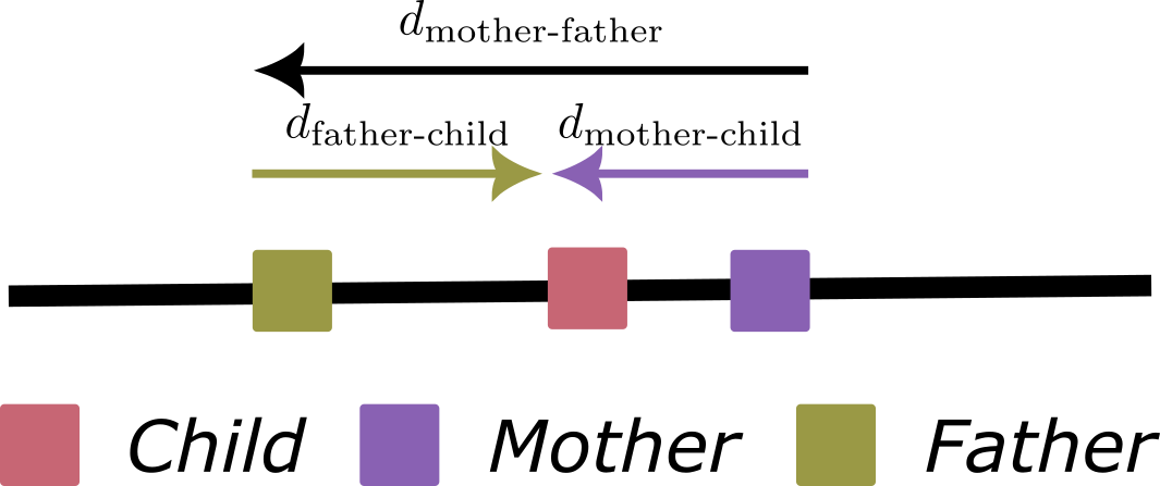 Illustration of dispersal in a 1-dimensional space with separate sexes